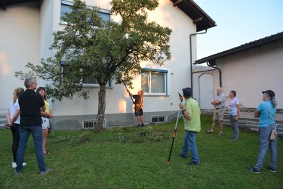 Sommer-Obstbaumschnitt mit Lothar Lins am Donnerstag, 25 August 2022