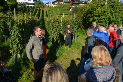 Weingartenrundgang mit Weinverkostung und an Hock am Do. 14. Sep. 2017