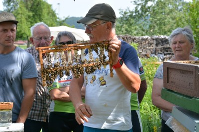 Tag des offenen Bienenstocks mit Reinhard Sardelic