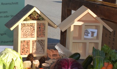 Wir bauen ein Insektenhotel für Wildbienen