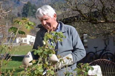Wir pflegen und schneiden Rosen mit Rudi Waibel  - ABSAGE -
