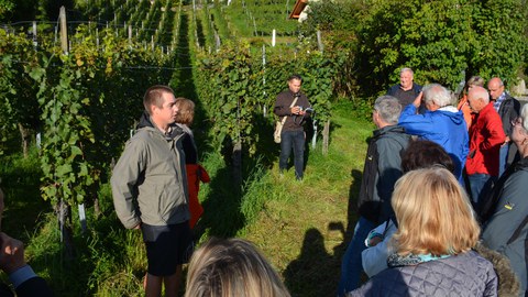 Weingartenrundgang mit Weinverkostung und an Hock am Do. 14. Sep. 2017